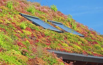 Knaresborough living roof systems